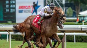 Saratoga Race Course, 2024 Hopeful Stakes, Studlydoright, Ferocious, Smoken Wicked